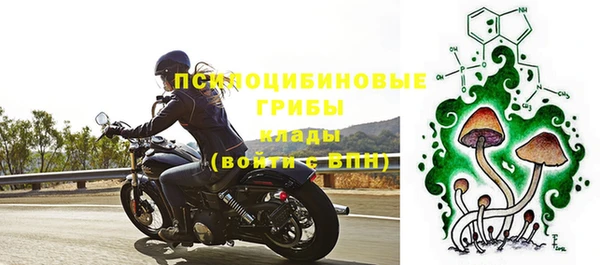 мескалин Рыльск